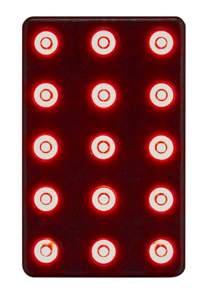 CARTEK FiA 8874-2019 Rectangular Rain Light (Static/Flashing)